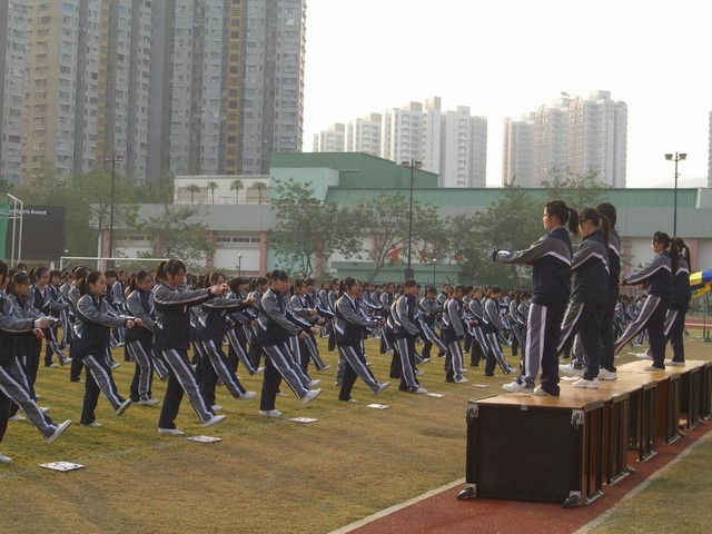 CIMG0016_FUNG.JPG
