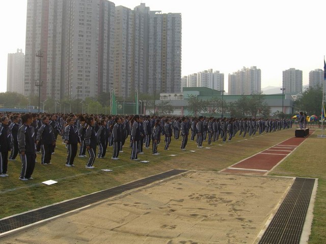 CIMG0019_FUNG.JPG