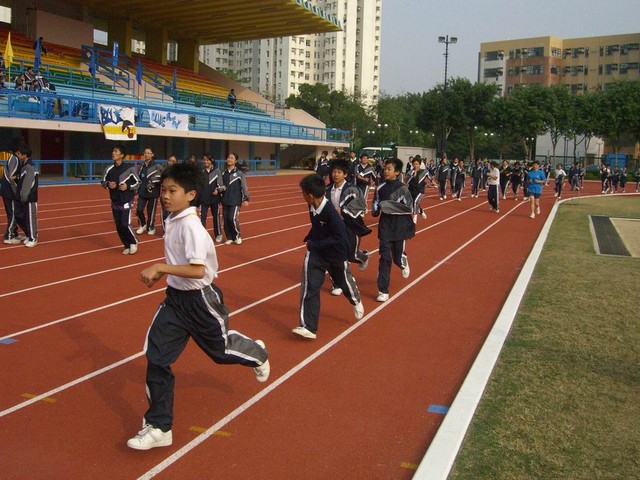 CIMG0060_FUNG.JPG