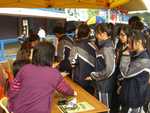 CIMG0113_FUNG.JPG