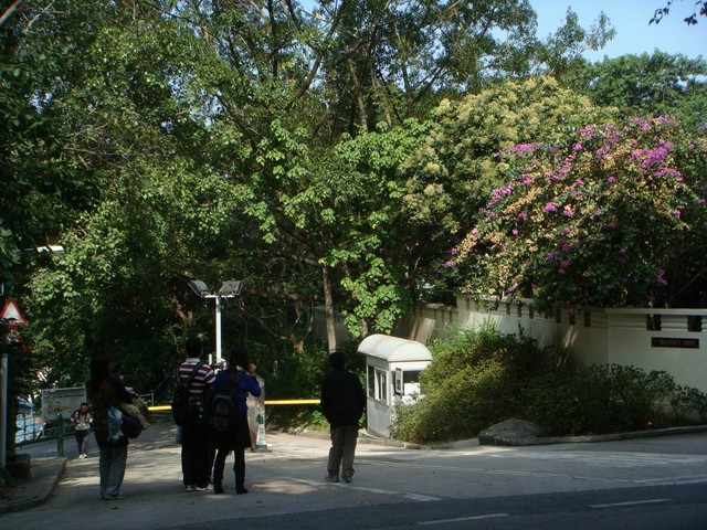 DSC02160.JPG