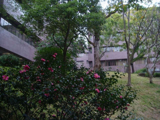 DSC02209.JPG