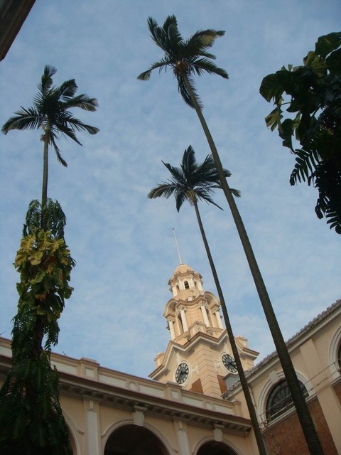 DSC02224.JPG