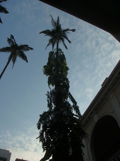 DSC02225.JPG