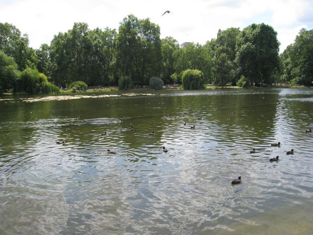 IMG_0599.JPG