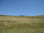 Highlight for Album: 28 July - trip to Seven Sisters