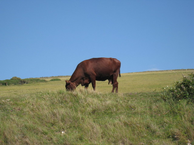 IMG_0991.JPG