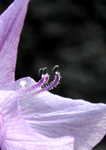 IMG_7780.jpg