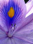 IMG_7782.jpg