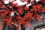VA_SH_Day4_028.JPG