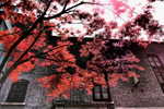 VA_SH_Day4_030.JPG