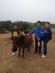 IMG-20140116-WA0029.jpg