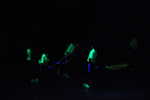 DSCa_0278_Day_FUNG.JPG
