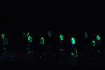 DSCa_0279_Day_FUNG.JPG