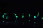 DSCa_0280_Day_FUNG.JPG