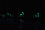 DSCa_0164_Night_FUNG.JPG