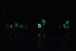 DSCa_0165_Night_FUNG.JPG