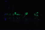 DSCa_0169_Night_FUNG.JPG