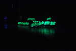 DSCa_0171_Night_FUNG.JPG