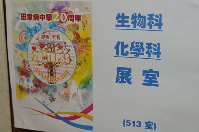DSC_0336_DAY1_FUNG.JPG