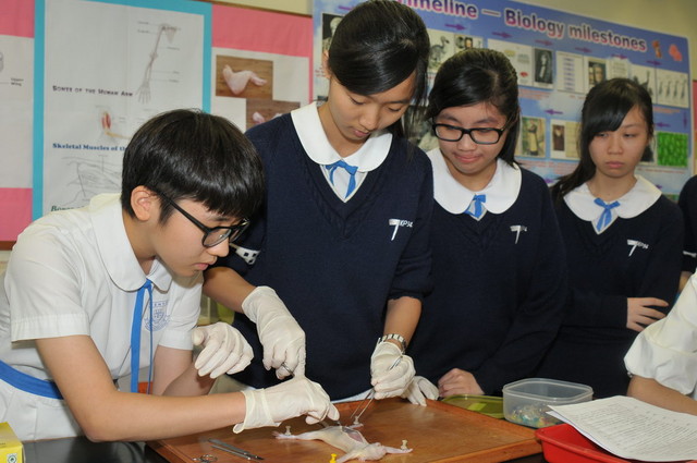 DSC_0339_DAY1_FUNG.JPG