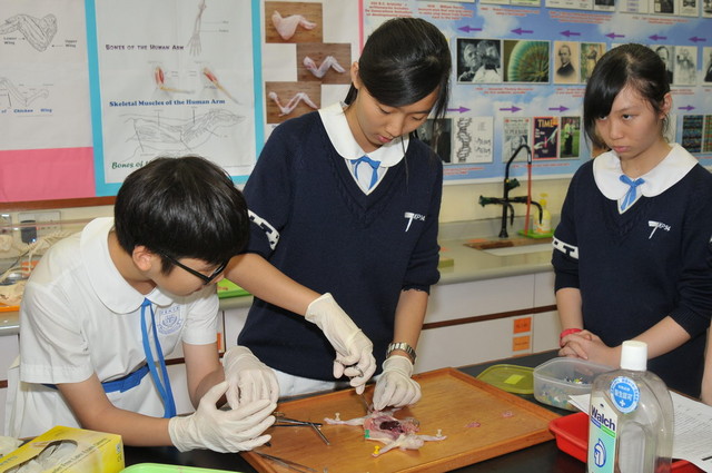 DSC_0346_DAY1_FUNG.JPG