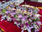 IMG-20240129-WA0011.jpg