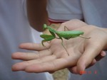 DSC02031.JPG