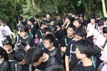 b33.JPG