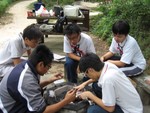 c5.JPG