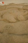 IMG_1586.JPG