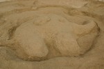 IMG_1587.JPG